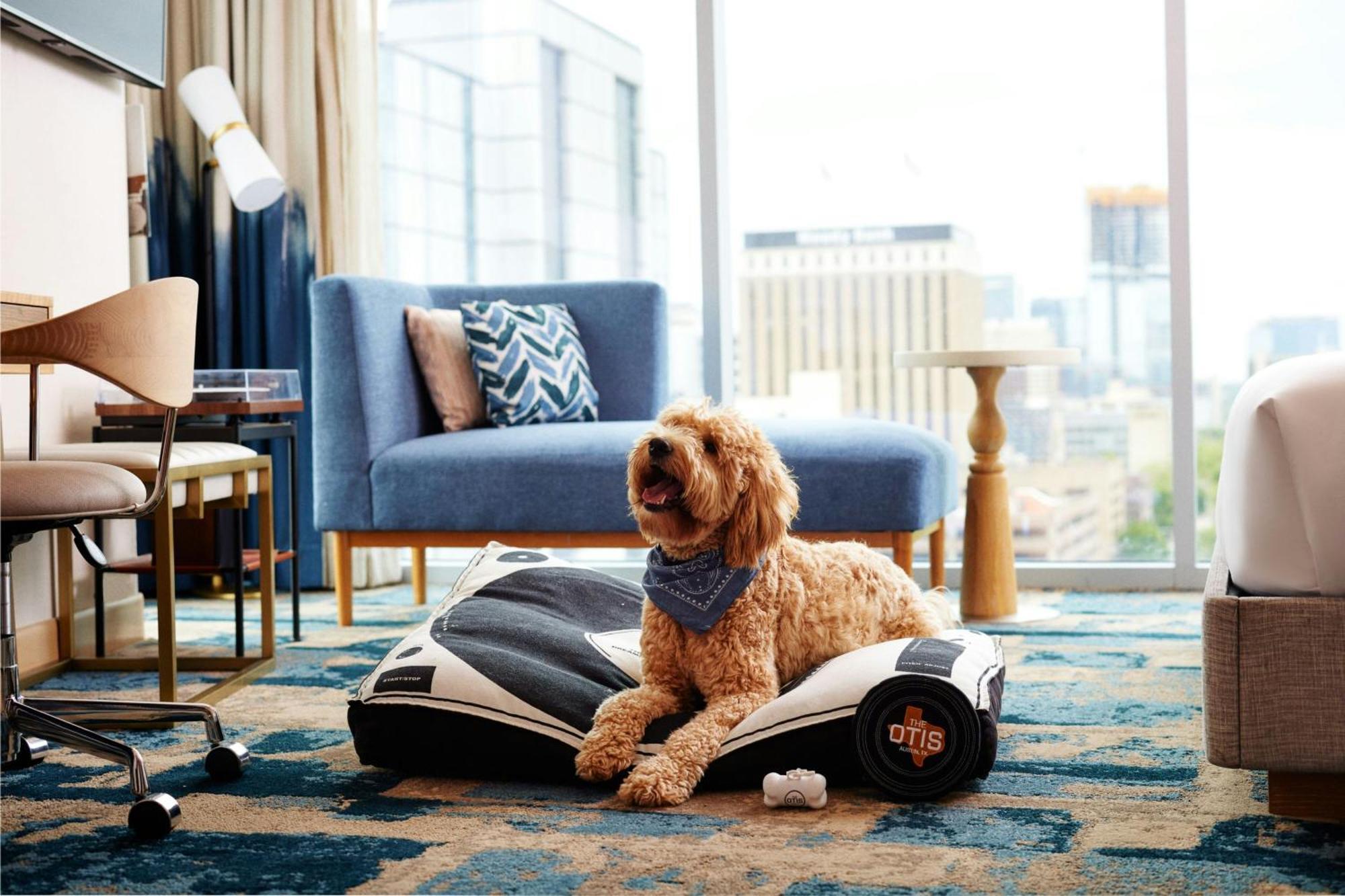 The Otis Hotel Austin, Autograph Collection Luaran gambar